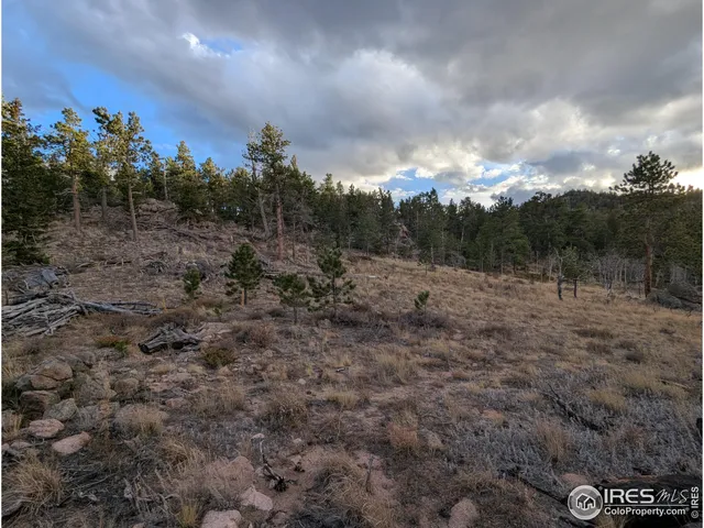 a view of a big yard