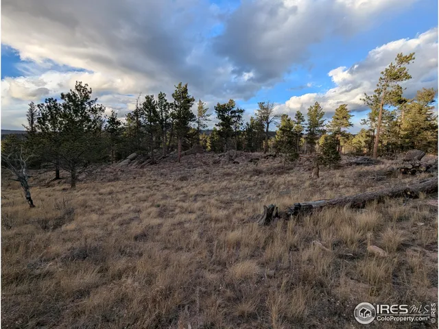 a view of a dry yard with trees