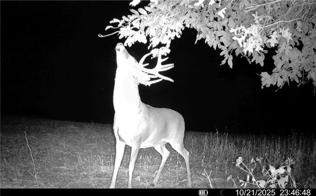 $1,512,495 | 0 M Highway, Purdin, MO 64674