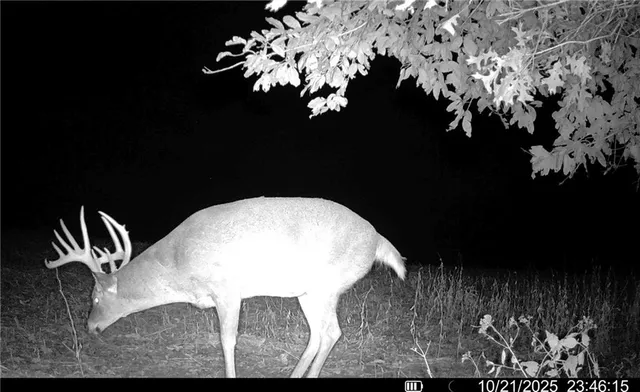 $1,512,495 | 0 M Highway, Purdin, MO 64674