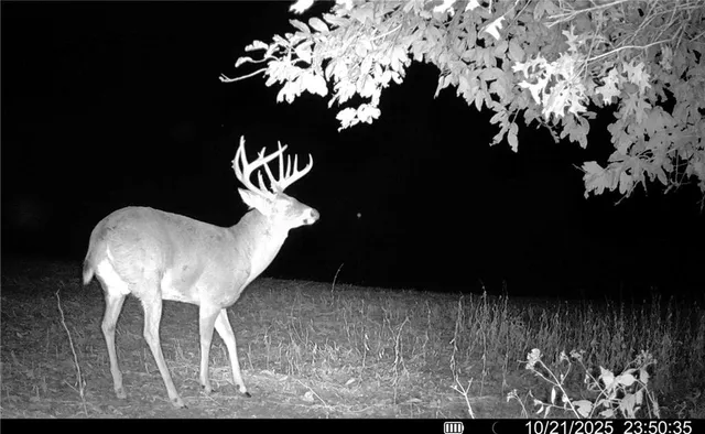 $1,512,495 | 0 M Highway, Purdin, MO 64674