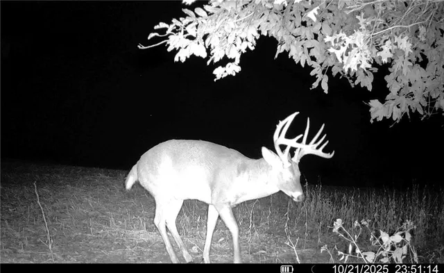 $1,512,495 | 0 M Highway, Purdin, MO 64674