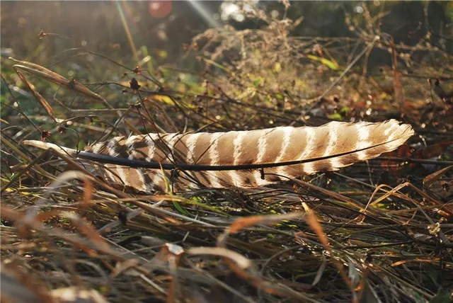 $1,512,495 | 0 M Highway, Purdin, MO 64674