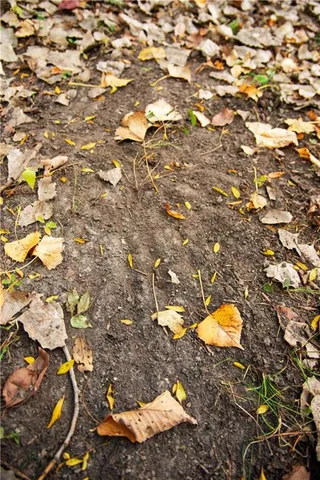 $1,512,495 | 0 M Highway, Purdin, MO 64674