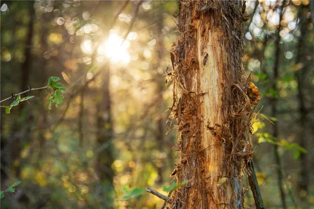 $1,512,495 | 0 M Highway, Purdin, MO 64674