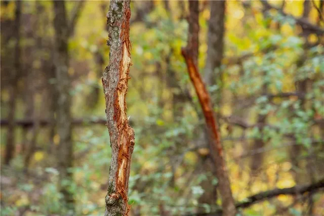 $1,512,495 | 0 M Highway, Purdin, MO 64674