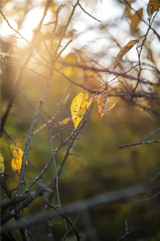 $1,512,495 | 0 M Highway, Purdin, MO 64674