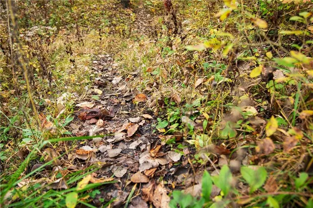 $1,512,495 | 0 M Highway, Purdin, MO 64674