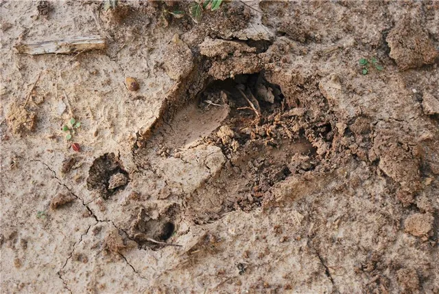 $1,512,495 | 0 M Highway, Purdin, MO 64674