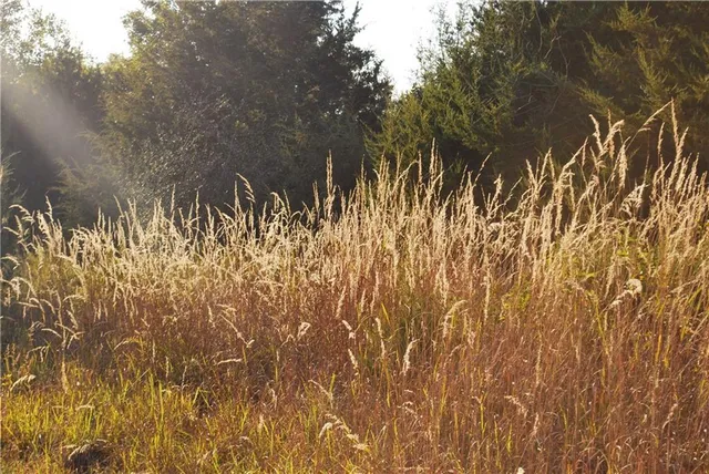 $1,512,495 | 0 M Highway, Purdin, MO 64674