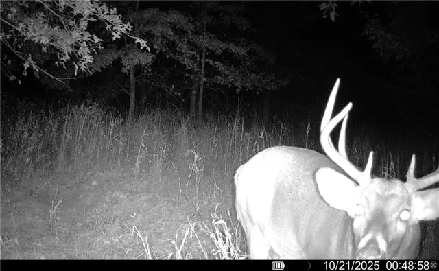 $1,512,495 | 0 M Highway, Purdin, MO 64674