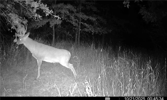 $1,512,495 | 0 M Highway, Purdin, MO 64674