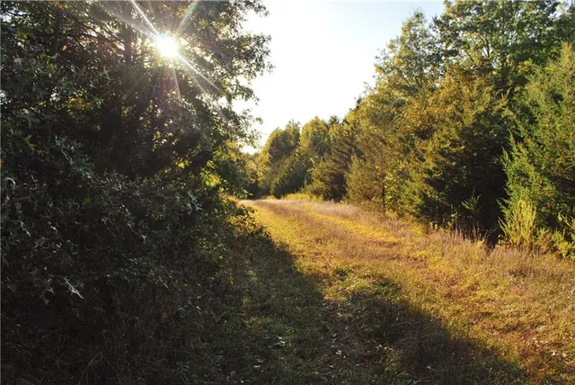 $1,512,495 | 0 M Highway, Purdin, MO 64674