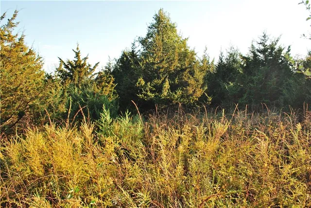 $1,512,495 | 0 M Highway, Purdin, MO 64674