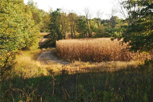 $1,512,495 | 0 M Highway, Purdin, MO 64674