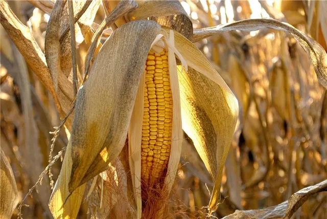 $1,512,495 | 0 M Highway, Purdin, MO 64674