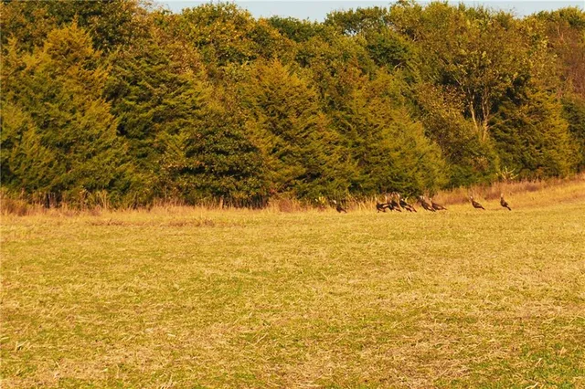 $1,512,495 | 0 M Highway, Purdin, MO 64674