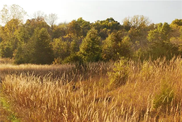 $1,512,495 | 0 M Highway, Purdin, MO 64674