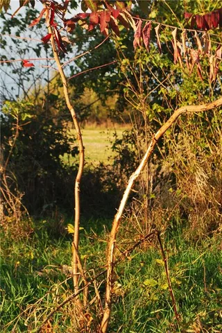 $1,512,495 | 0 M Highway, Purdin, MO 64674