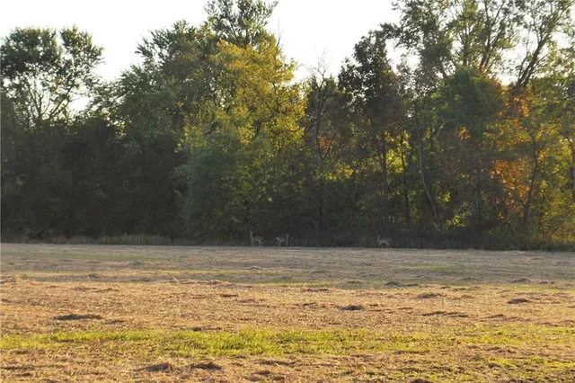 $1,512,495 | 0 M Highway, Purdin, MO 64674