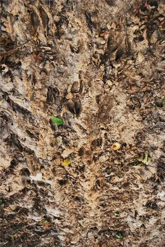 $1,512,495 | 0 M Highway, Purdin, MO 64674