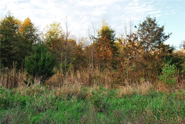 $1,512,495 | 0 M Highway, Purdin, MO 64674