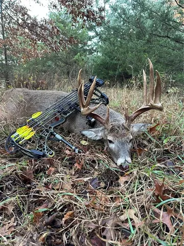 $1,512,495 | 0 M Highway, Purdin, MO 64674