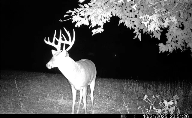 $1,512,495 | 0 M Highway, Purdin, MO 64674