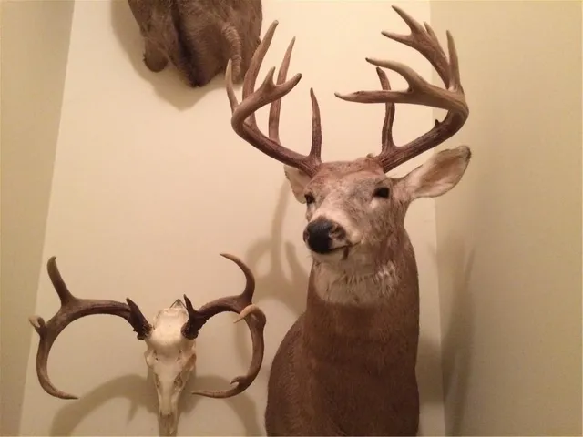 $1,512,495 | 0 M Highway, Purdin, MO 64674