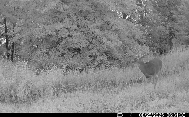 $1,512,495 | 0 M Highway, Purdin, MO 64674