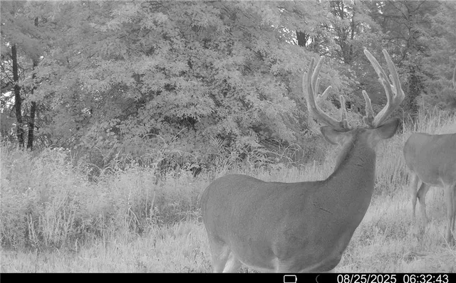 $1,512,495 | 0 M Highway, Purdin, MO 64674