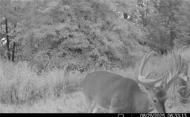 $1,512,495 | 0 M Highway, Purdin, MO 64674