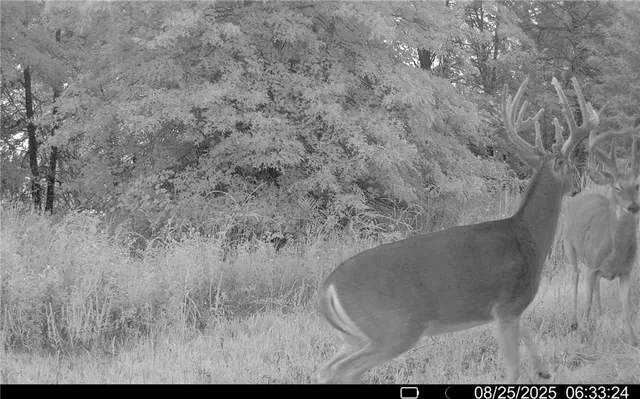 $1,512,495 | 0 M Highway, Purdin, MO 64674