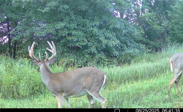 $1,512,495 | 0 M Highway, Purdin, MO 64674