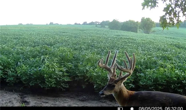 $1,512,495 | 0 M Highway, Purdin, MO 64674