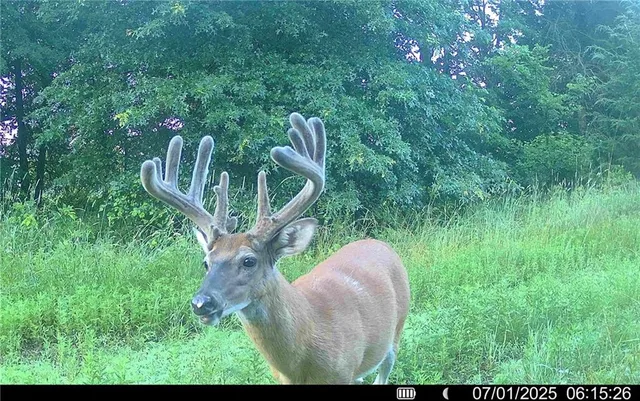 $1,512,495 | 0 M Highway, Purdin, MO 64674