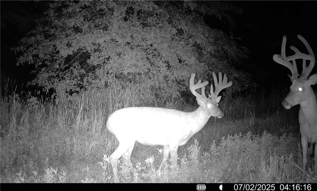 $1,512,495 | 0 M Highway, Purdin, MO 64674