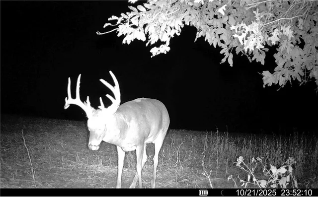 $1,512,495 | 0 M Highway, Purdin, MO 64674