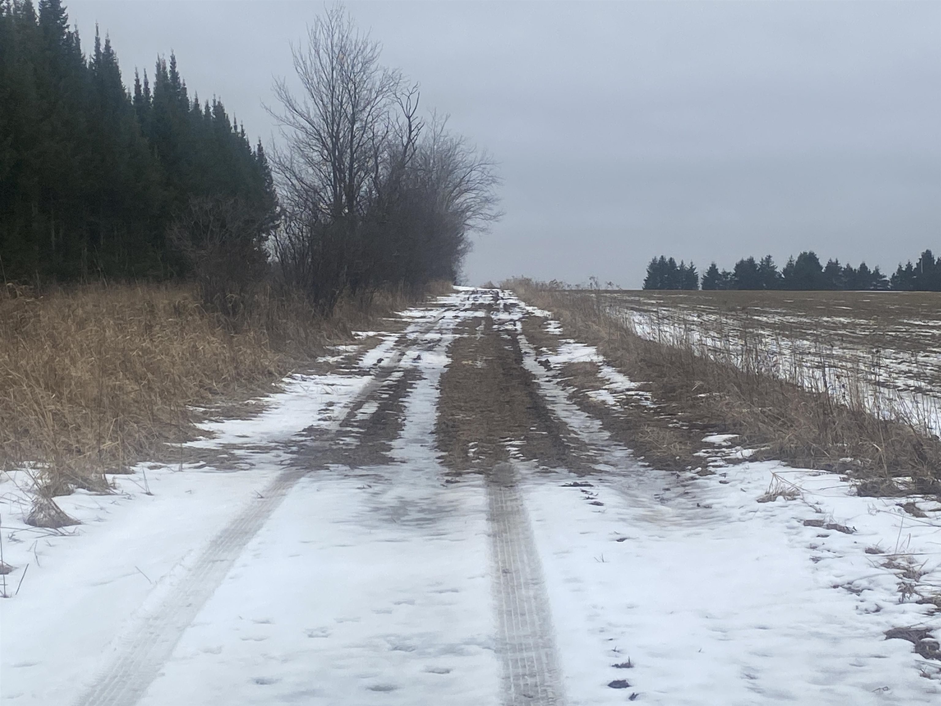 Near Spring Brook Avenue, Unit 8429 Merrill, WI 54452 - Photo 5 of 5