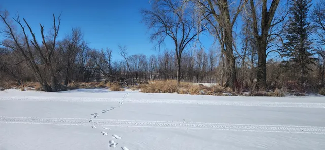 $215,000 | 6757 164th Street Southeast, Atwater, MN 56209