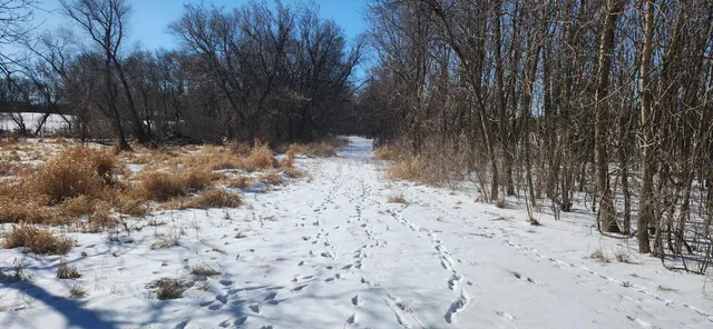 $215,000 | 6757 164th Street Southeast, Atwater, MN 56209