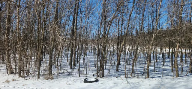 $215,000 | 6757 164th Street Southeast, Atwater, MN 56209