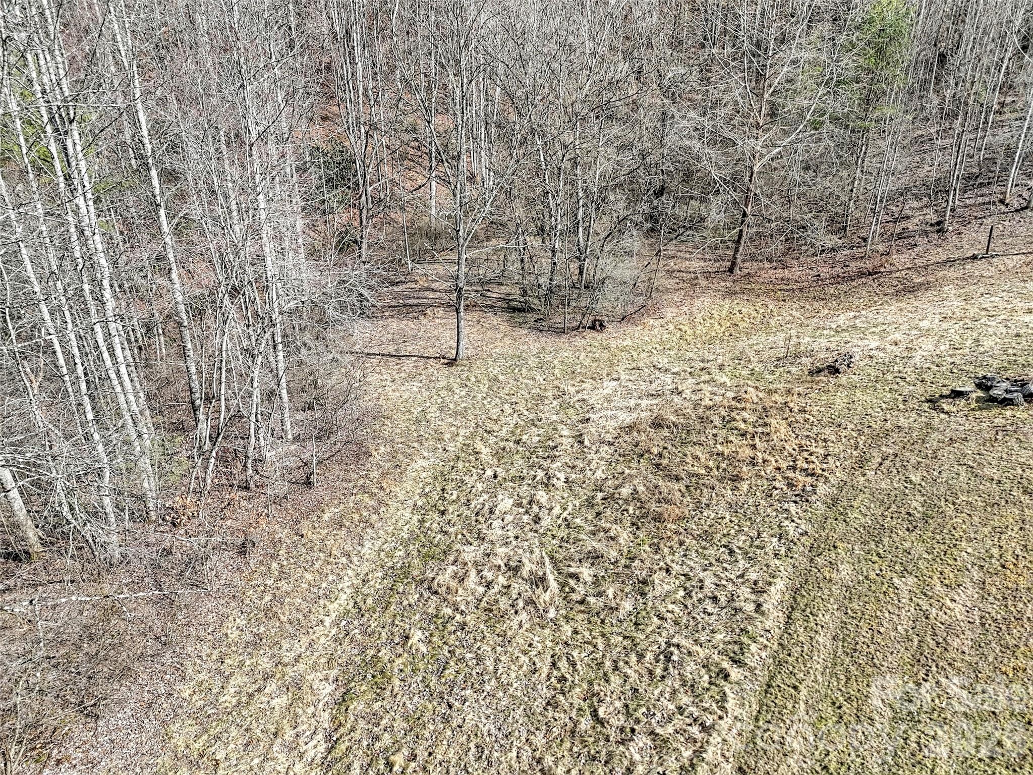 0 Seay Mountain Road Waynesville, NC 28785 - Photo 10 of 17