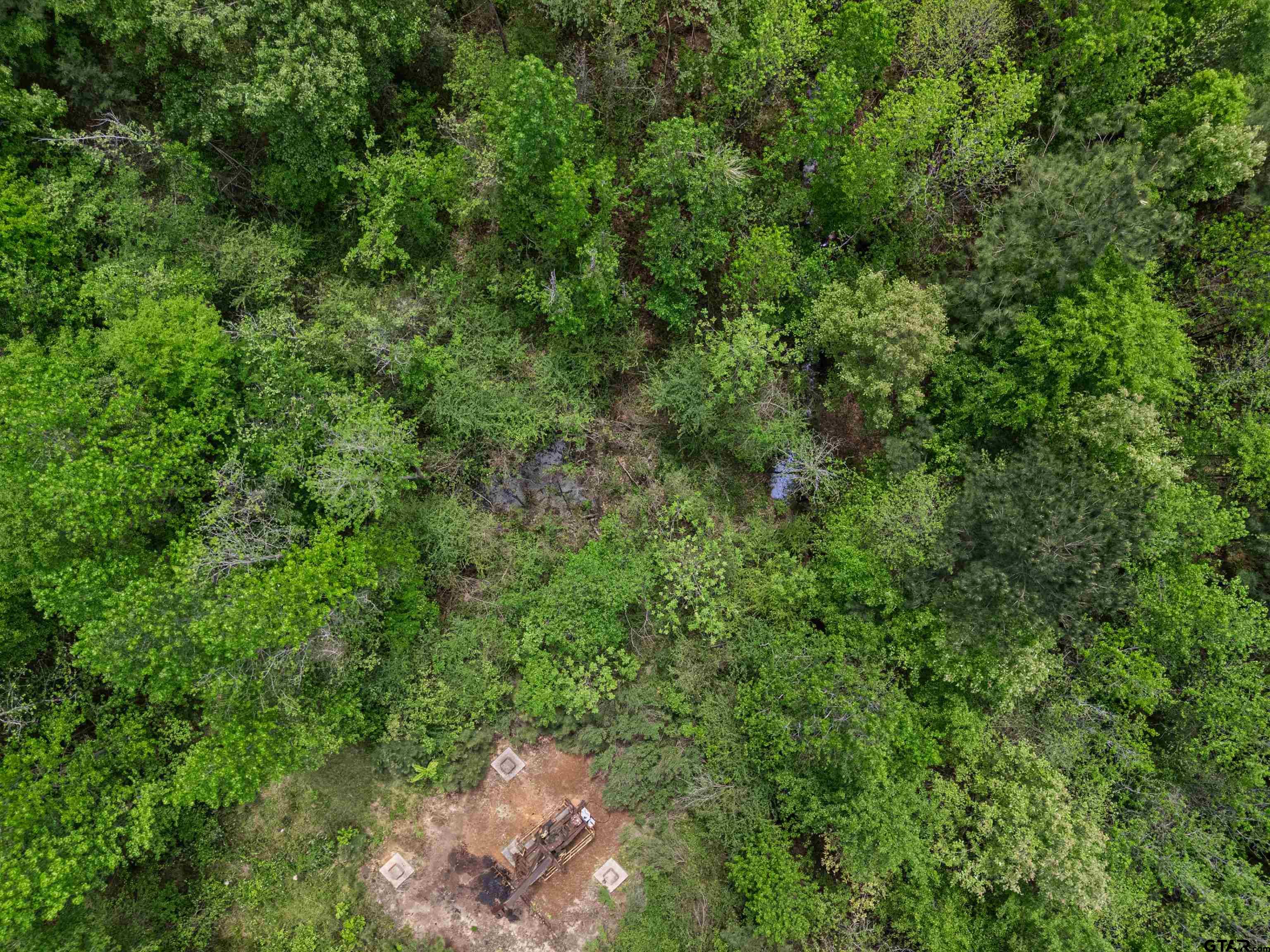 2687 West Camp Switch Road Longview, TX 75604 - Photo 12 of 21