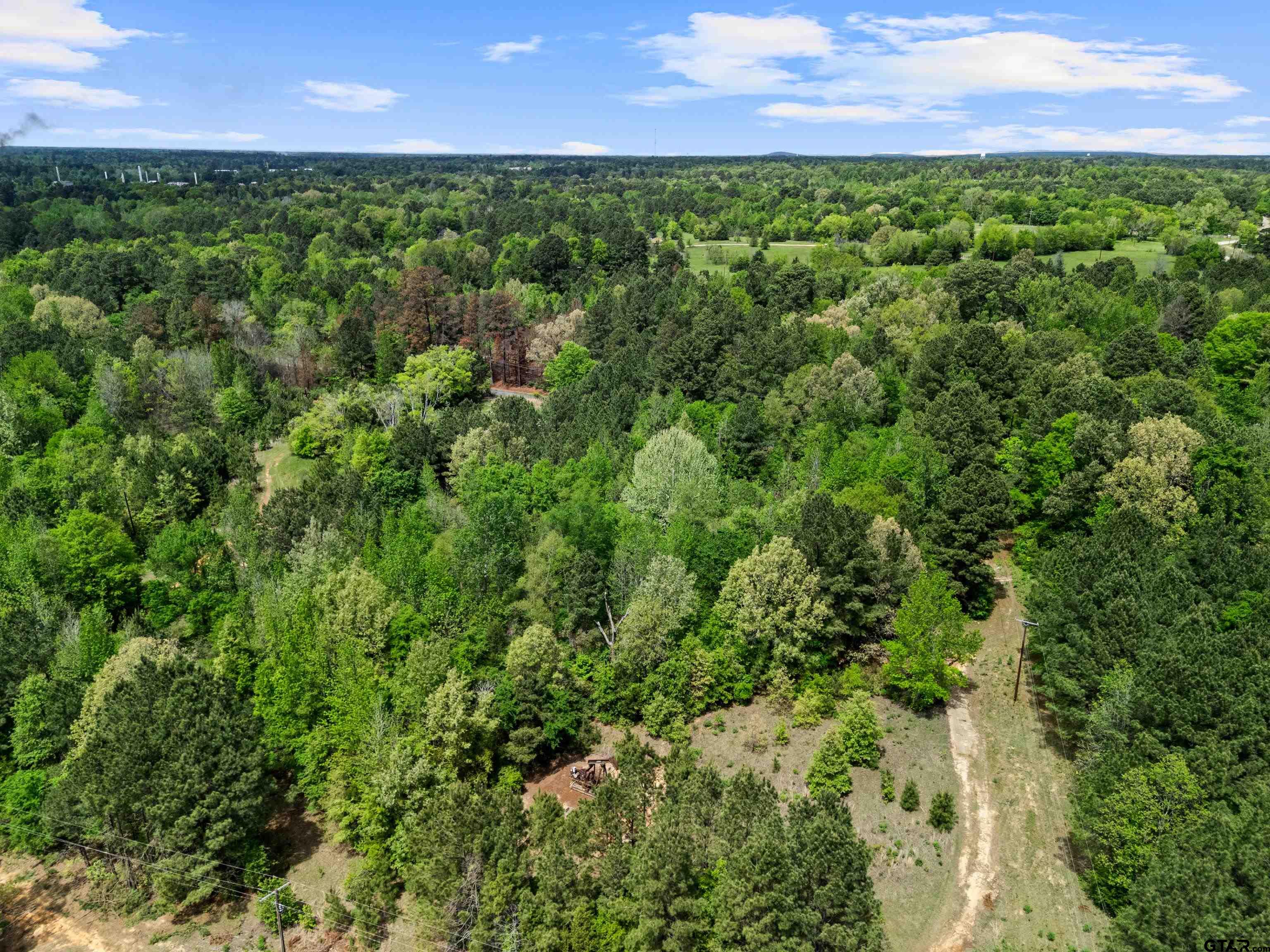 2687 West Camp Switch Road Longview, TX 75604 - Photo 17 of 21