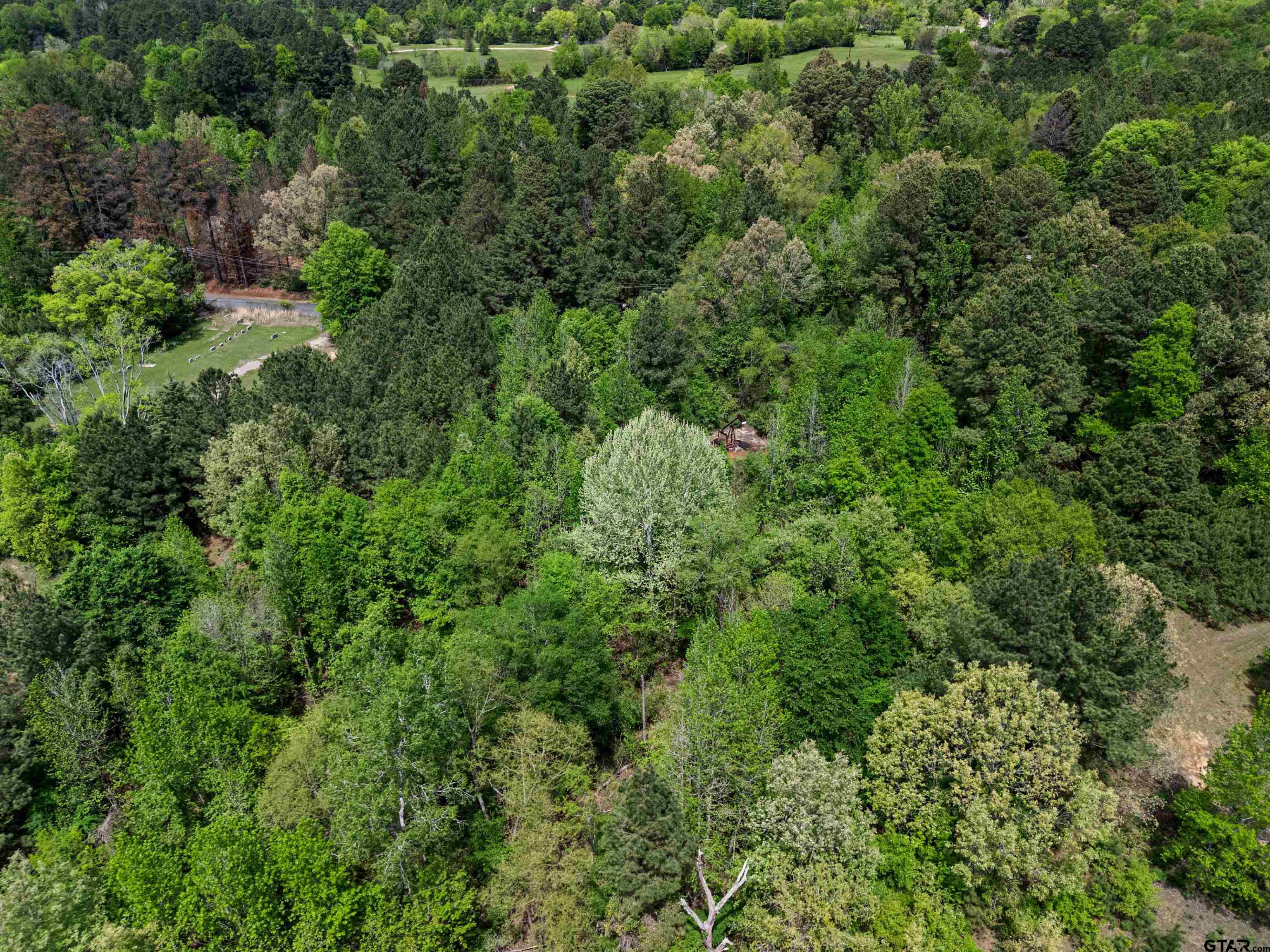 2687 West Camp Switch Road Longview, TX 75604 - Photo 18 of 21