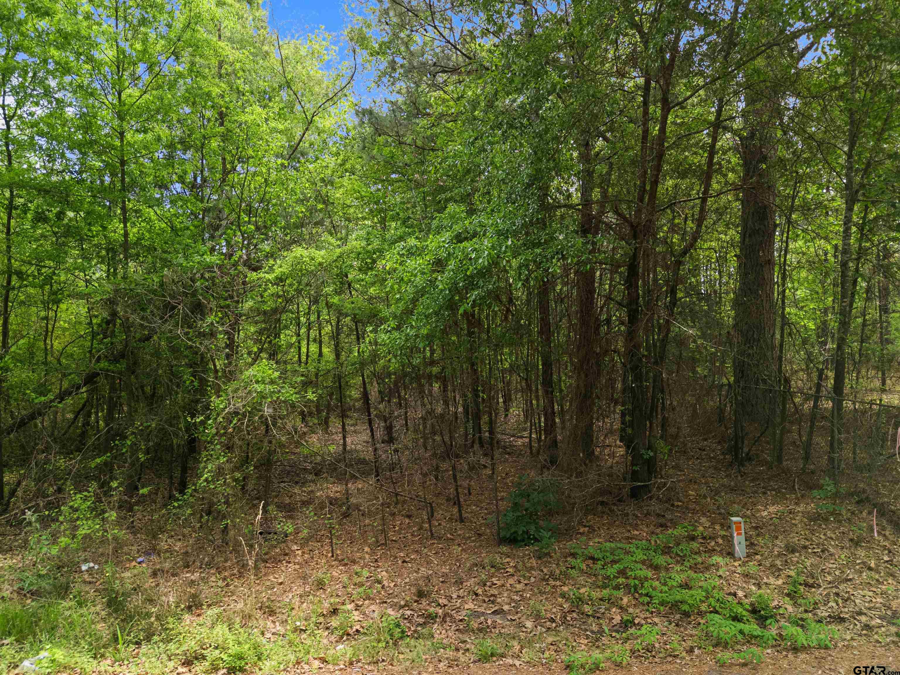 2687 West Camp Switch Road Longview, TX 75604 - Photo 21 of 21