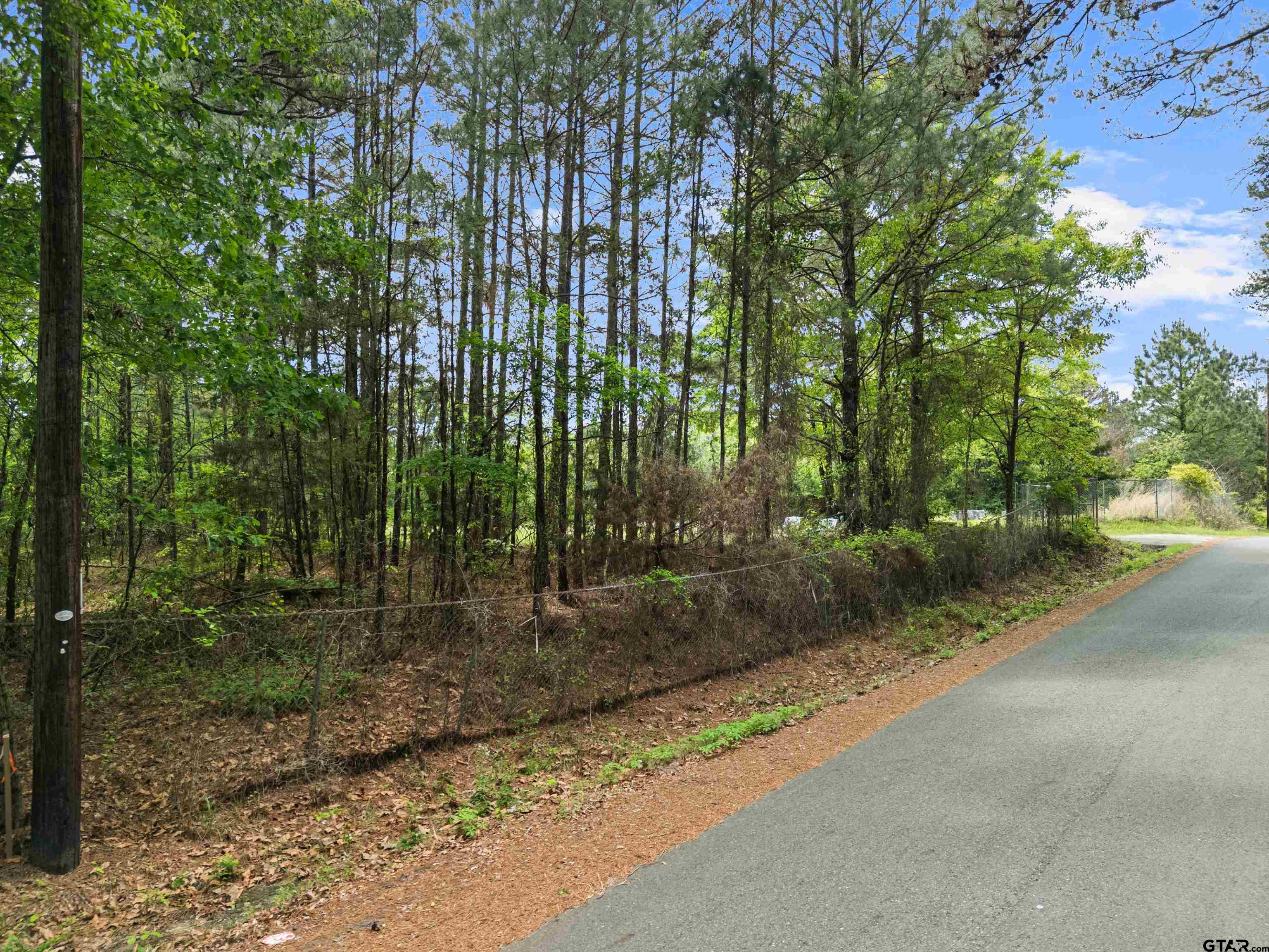 2687 West Camp Switch Road Longview, TX 75604 - Photo 3 of 21