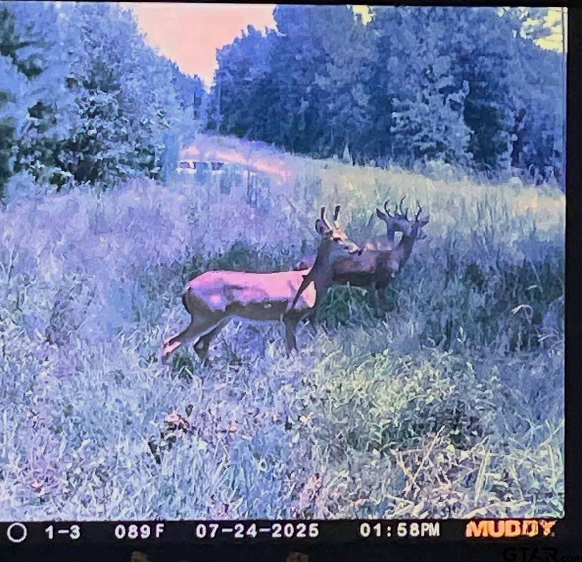 2687 West Camp Switch Road Longview, TX 75604 - Photo 5 of 21