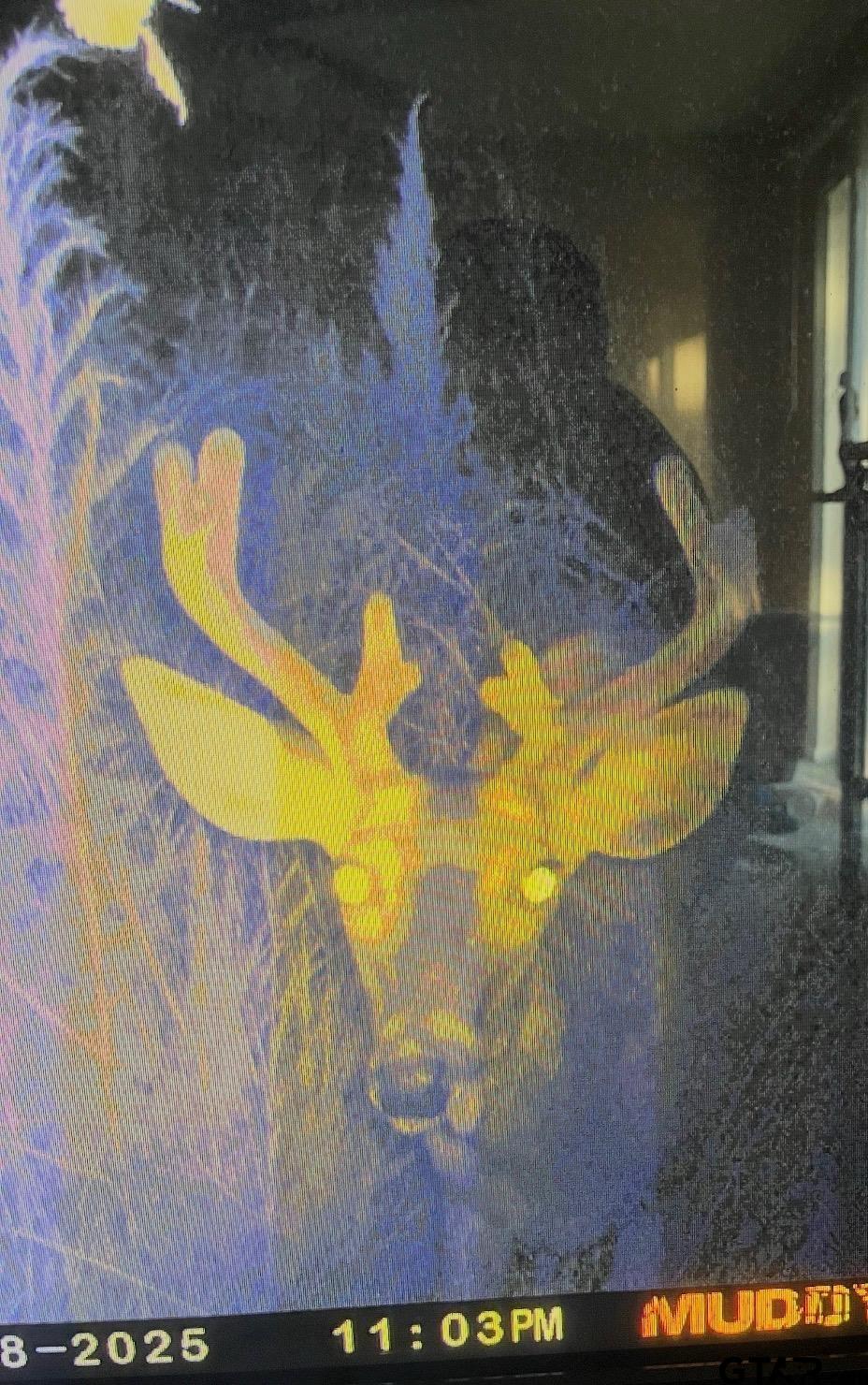 2687 West Camp Switch Road Longview, TX 75604 - Photo 7 of 21